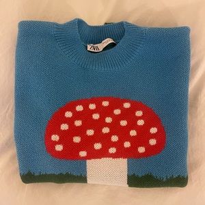 Zara Mushroom Sweater